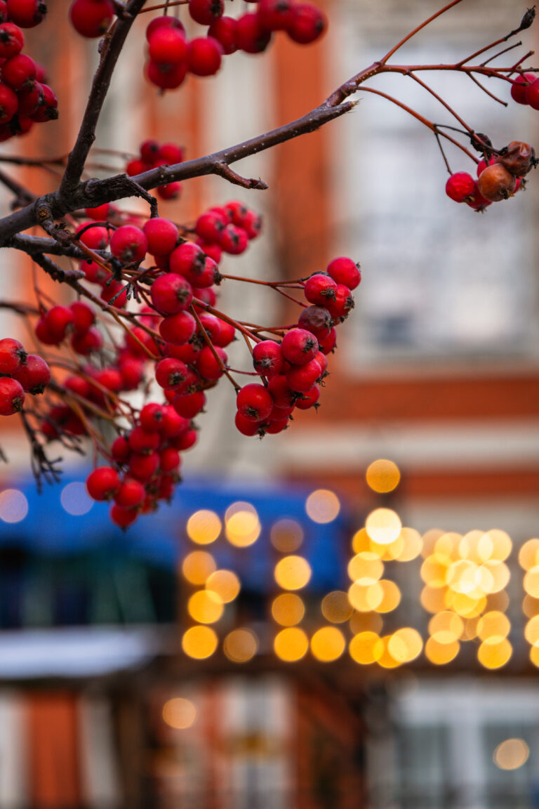Fotospacer po Warszawie – edycja zimowa